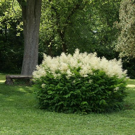 Landgasthof Em Lade Dahlem  Kültér fotó
