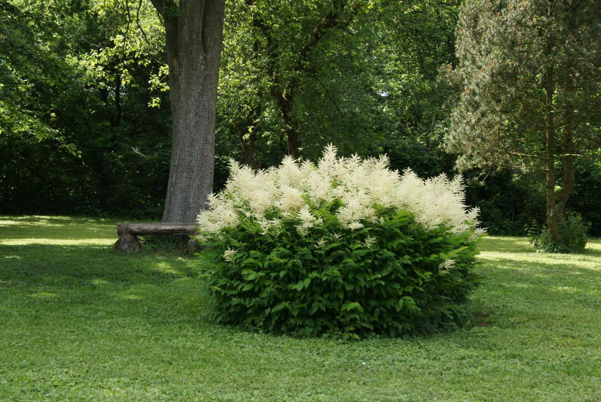 Landgasthof Em Lade Dahlem  Kültér fotó